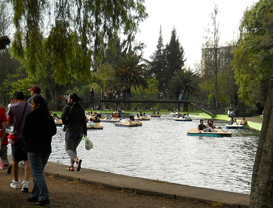 Water 01: water circuit with pedalo
                              ships in Carolina Park 01, Quito, Ecuador