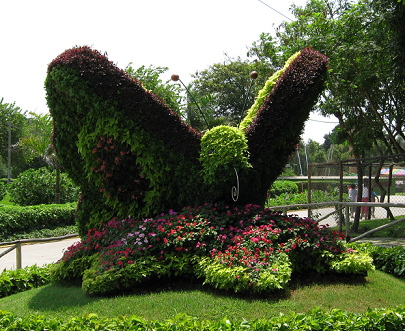 Escultura de animal de seto, mariposa
                              03 con trompa, en el parque de las
                              Leyendas en Lima, Per�