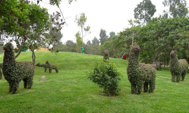 Escultura
                            de animal de seto en el parque Sinchi Roca
                            05, llamas, Lima, Per�