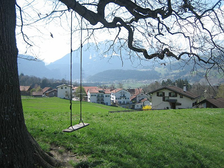 Schaukel am Baum immer im Halbschatten
                            und mit Laub auch beschr�nkt regensicher