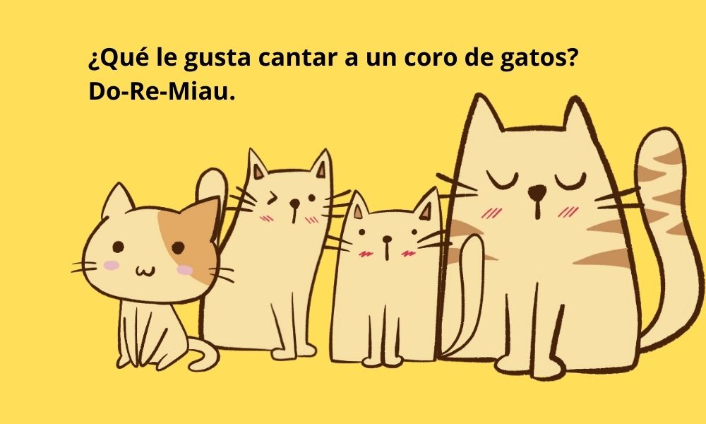 Chiste: gatos cantan: �Qu� le
            gusta cantar a un coro de gatos? Do-Re-Miau.