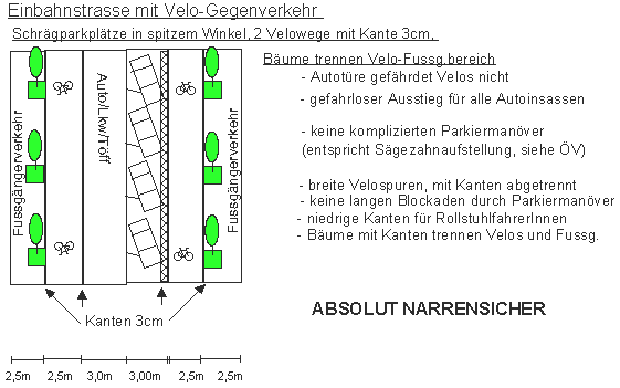 Einbahnstrasse mit
                                      Velo-Gegenverkehr:
                                      Schr�gparkpl�tze in spitzem
                                      Winkel, 2 Velowege mit Kante 3 cm