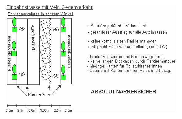 Einbahnstrasse mit Velo-Gegenverkehr.
                    Schr�gparkpl�tze in spitzem Winkel